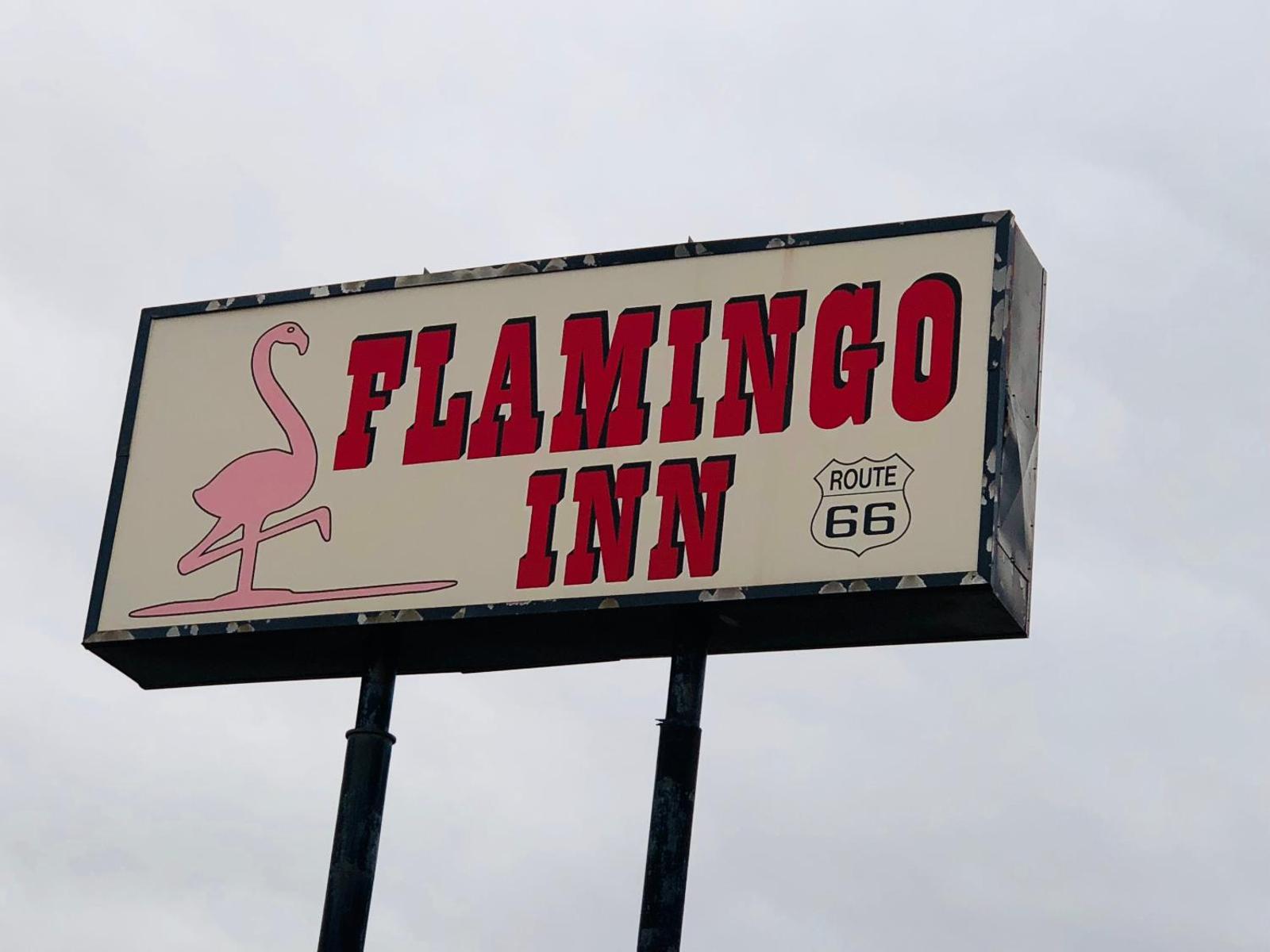 Flamingo Inn image 2