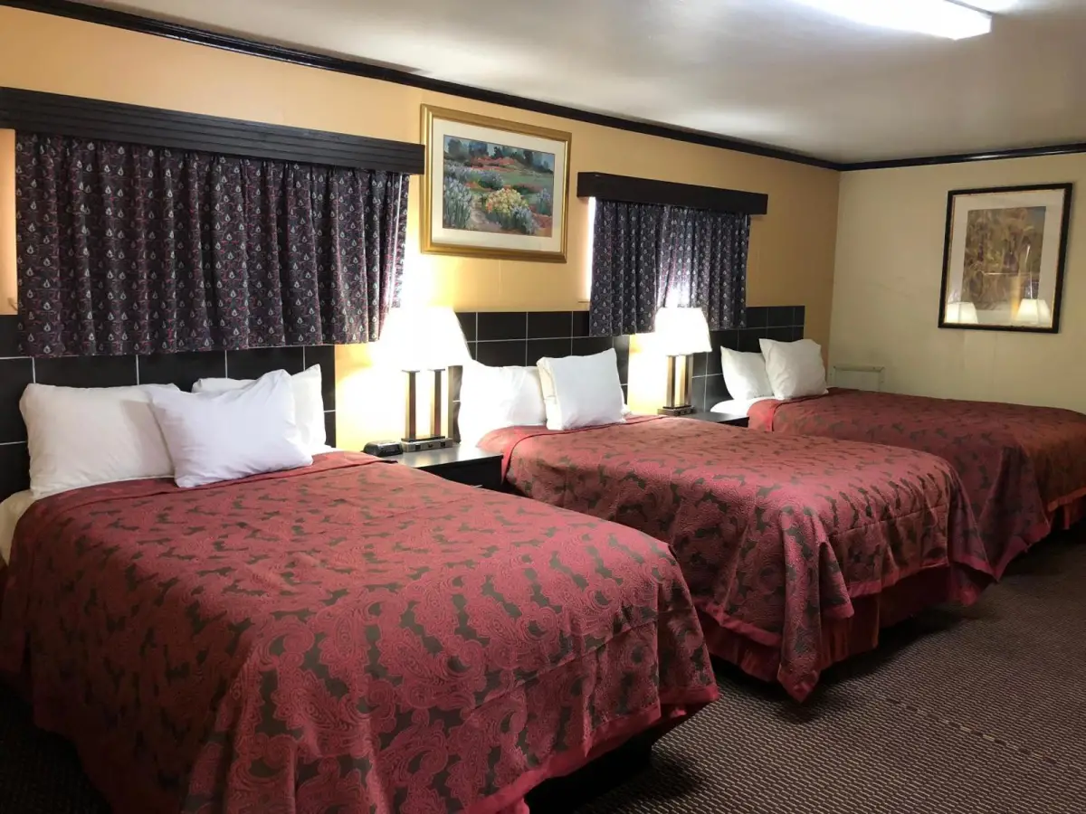 Flamingo Inn 4